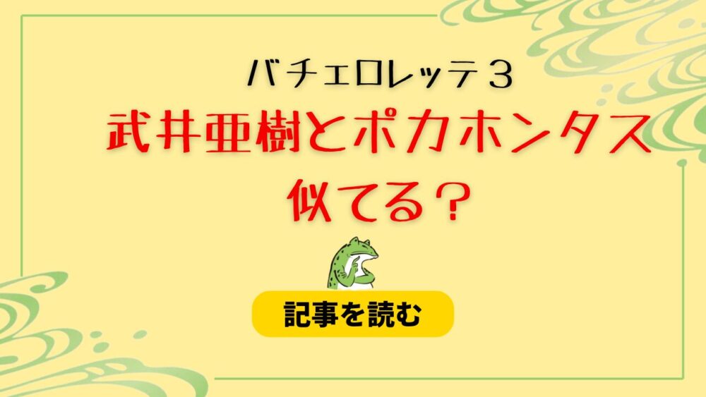 【バチェロ３】武井亜樹がポカホンタスに似てる！理由まとめ！性格もそっくり